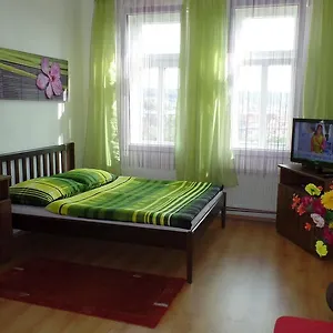 Apartment Rokytka -